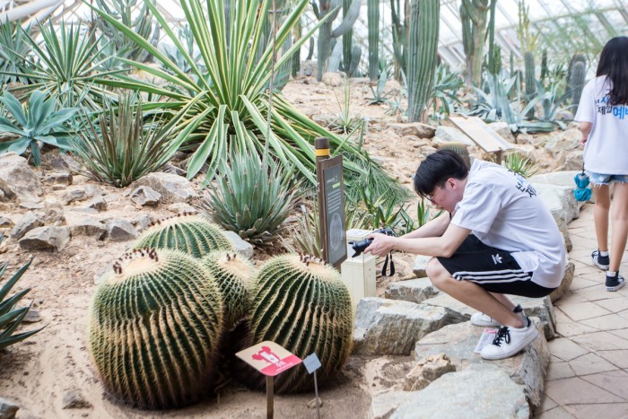 673749a9f17ae55f5c5dcc987e317aed_1536817