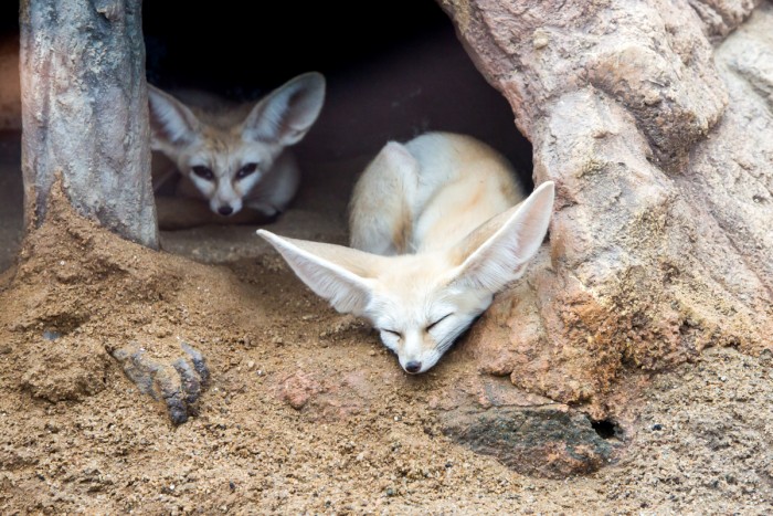 673749a9f17ae55f5c5dcc987e317aed_1536817